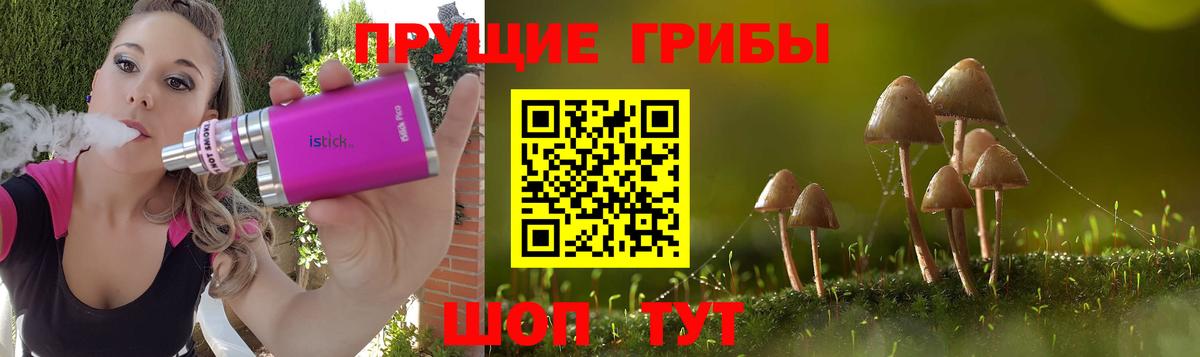 Псилоцибиновые грибы мухоморы  Вход с VPN  Гатчина 