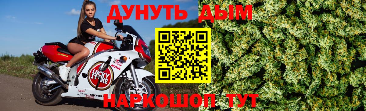 ГАШ Гатчина